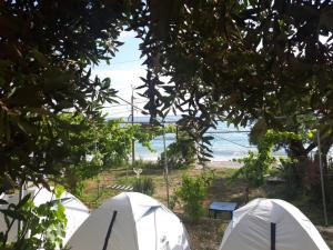 grupa namiotów z oceanem w tle w obiekcie Camping Jungle in Borsh w mieście Borsh