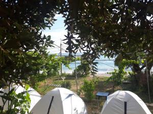 a group of tents with the ocean in the background at Camping Jungle in Borsh in Borsh