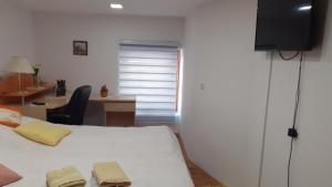TV a/nebo společenská místnost v ubytování Berta Apartman