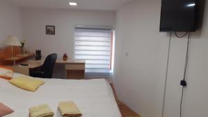 a bedroom with a bed and a desk and a television at Berta Apartman in Senta