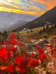 Paesaggio naturale nelle vicinanze del bed & breakfast
