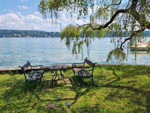 two benches and a picnic table in front of a lake at Sommertraum mit eigenem Steg und Liegewiese in Pöcking