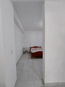 Fotografie z fotogalerie ubytování Jungle House v destinaci Borsh