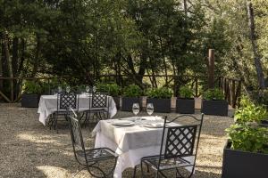 A garden outside Casavilla Rentals by Torre a Cona
