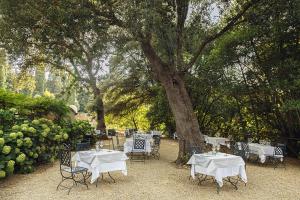 A garden outside Casavilla Rentals by Torre a Cona