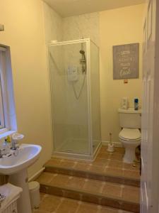 a bathroom with a shower and a toilet and a sink at Broadwalk in Coltishall