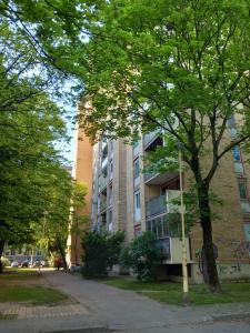 un edificio alto con un árbol delante de él en Apartman MINNA2, free parking en Osijek