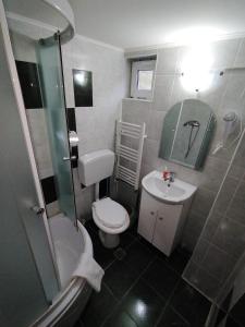 a small bathroom with a toilet and a sink at Pensiunea Alessia in Lupeni