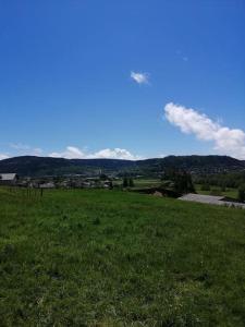 un champ d'herbe verte avec des montagnes en arrière-plan dans l'établissement La Maison Bleue, à Saint-Étienne-lès-Remiremont