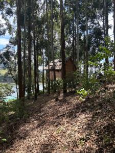 une petite cabine dans les bois à côté d'une masse d'eau dans l'établissement Itambira Island, Seeds of Hope, à Chabahinga