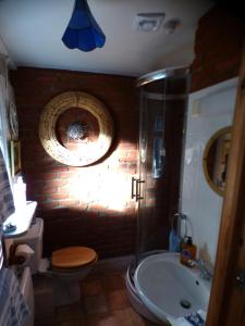 uma casa de banho com um chuveiro, um WC e um lavatório. em NELSONS CABIN em North Creake