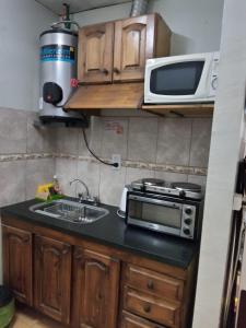 eine kleine Küche mit Spüle und Mikrowelle in der Unterkunft Departamentos Avenida San Martin in Mendoza