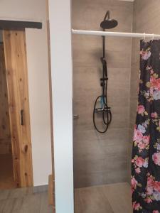 een douche in een kamer met een douchegordijn bij Ferienwohnung Birkenwerder bei Berlin mit Terrasse und kleinem Garten in Birkenwerder +7 foto's
