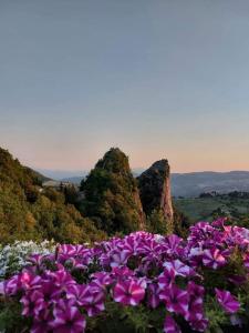 un montón de flores púrpuras delante de algunas rocas en Casa del Viandante Borgo dei Sassi di Roccamalatina en Guiglia