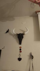 eine Wand mit einem Kuhkopf an der Wand in der Unterkunft Day Nightand Art in Wien