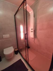 a bathroom with a toilet and a glass shower at Apartment Relax with infrared Sunshower in Varaždin