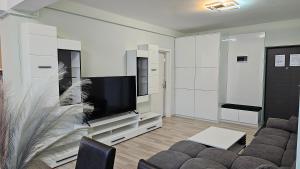 a living room with a couch and a television at Nordic Residence 23 in Suceava