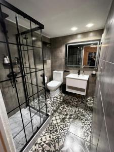 a bathroom with a toilet and a sink and a shower at APARTAMENTO PROVIDENCIA in Santiago