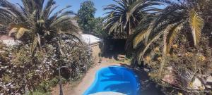 una vista aérea de una piscina con palmeras en Hostal Donde Rita, en Vicuña