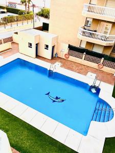a large blue swimming pool in front of a building at BOHO HOUSE MALAGA in Málaga