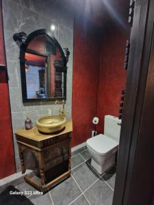 Ένα μπάνιο στο Transylvania House