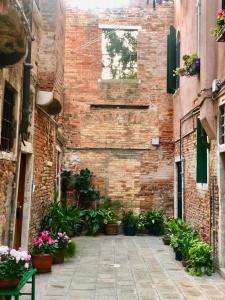 un callejón con macetas y una pared de ladrillo en Garibaldi suite, en Venecia