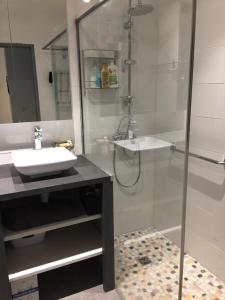 La salle de bains est pourvue d'une douche en verre et d'un lavabo. dans l'établissement VILLA LES PALMIERS, à Palavas-les-Flots