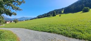 Un paisaje natural cerca de la casa vacacional