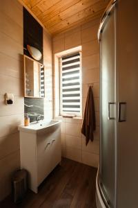 a bathroom with a sink and a shower at Apartamenty - Grądzkie 19 in Grądzkie