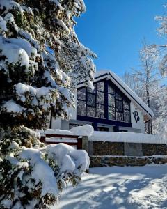 ein Haus im Schnee mit schneebedeckten Bäumen in der Unterkunft Vila Blanc Valiug Crivaia in Văliug