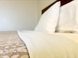 Gallery image of Homestead Inn in Wolf Point