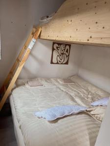 a bedroom with a bunk bed in a room at Tiny Home Kontík in Luka nad Jihlavou