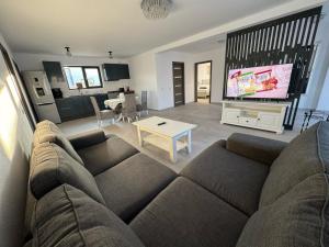 ein Wohnzimmer mit einem Sofa und einem TV in der Unterkunft Casa Andreea in Curtea de Argeş