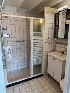 een badkamer met een douche en een wastafel bij Molière in Rekem