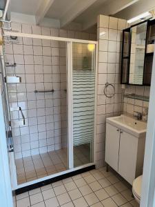 a bathroom with a shower and a sink at Molière in Rekem +32 photos