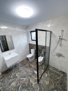 a bathroom with a sink and a toilet and a shower at Casa Andreea in Curtea de Argeş