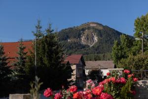 vista su una montagna con una casa e fiori di Apartman BARIŠIĆ 1 a Kupres