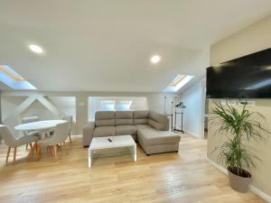 TV a/nebo společenská místnost v ubytování Comfort Apartments Pasha