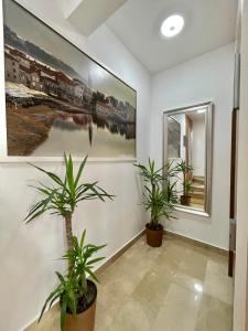 Fotografie z fotogalerie ubytování Comfort Apartments Pasha v destinaci Budva