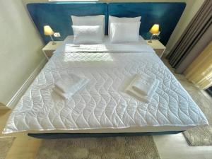 Postel nebo postele na pokoji v ubytování Comfort Apartments Pasha