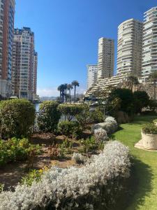 um jardim com flores brancas em frente a edifícios altos em Departamento en primera línea del mar em Viña del Mar