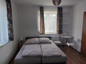 een slaapkamer met een bed, een tafel en een raam bij Skotnicki Zakątek u Magdy i Tomka in Samborzec