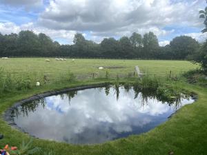 a reflection of the sky in a pond in a field at Charming artist’s cottage in East Knoyle