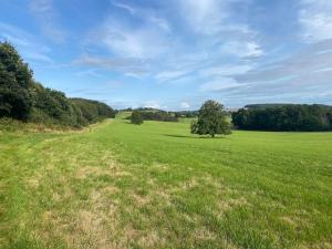 a large green field with a tree in the middle at Charming artist’s cottage in East Knoyle