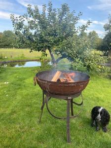 a brazier and a dog sitting in the grass at Charming artist’s cottage in East Knoyle