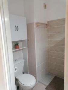 ein weißes Badezimmer mit Toilette und Dusche in der Unterkunft Studio 4 personnes bord de mer avec piscine wifi in Cervione
