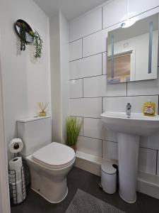 La salle de bains blanche est pourvue de toilettes et d'un lavabo. dans l'établissement Luxury one bedroom maisonette with extra connected bedroom in Stevenage centre, à Stevenage