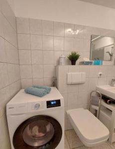 a bathroom with a washing machine and a toilet at Moderne Wohnung mit Vollausstattung in ruhiger Lage, W-LAN in Großröhrsdorf
