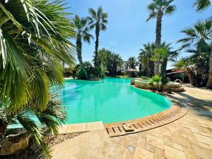 ドンナルカータにあるVilla Dalyaのリゾート内のヤシの木があるスイミングプール