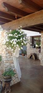 a hanging arrangement of white flowers in a stone wall at B&B Badde Tale in Ossi